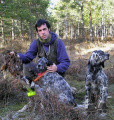Setter Anglais BRUJA DEL ALTO PAS Setter Anglais BRUJA DEL ALTO PAS